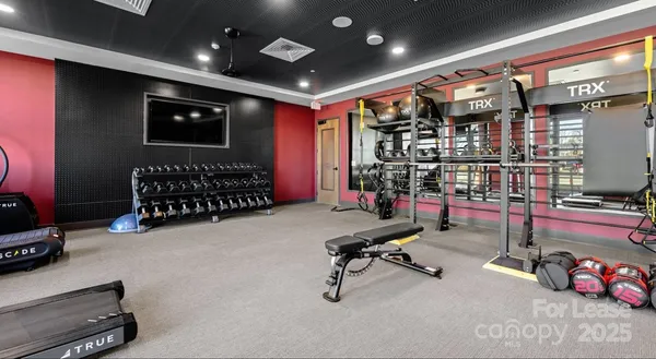 $1,381 | 120 Matheson Avenue, Unit A1A, Charlotte, NC 28206