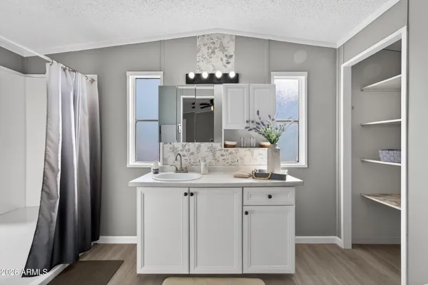 a bathroom with a sink and a mirror