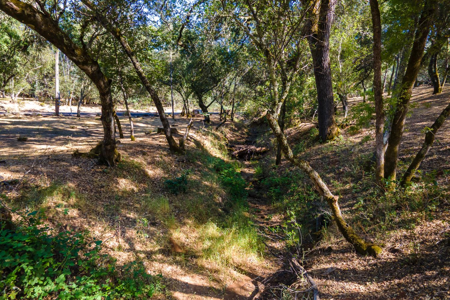 3300 Ponderosa Road Shingle Springs, CA 95682 - Photo 35 of 44