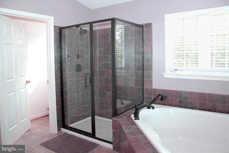 42703 Middle Ridge Place Broadlands, VA 20148 - Photo 15 of 30 Master Bath #2