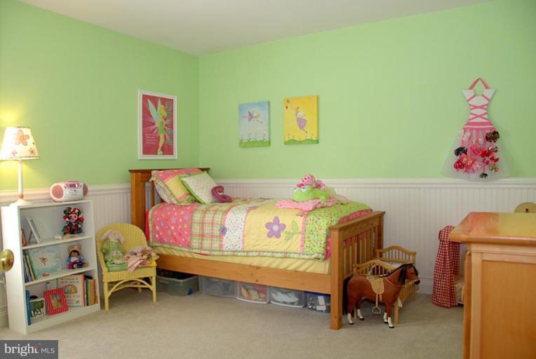 42703 Middle Ridge Place Broadlands, VA 20148 - Photo 17 of 30 Bedroom #3