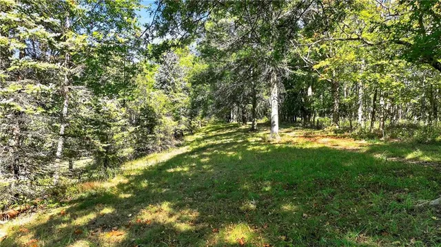 a view of outdoor space