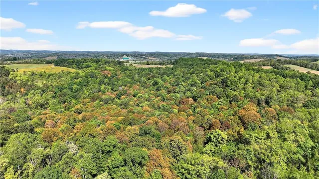 a view of a green field with lots of bushes