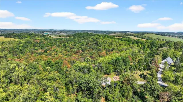 view of a green field with lots of bushes