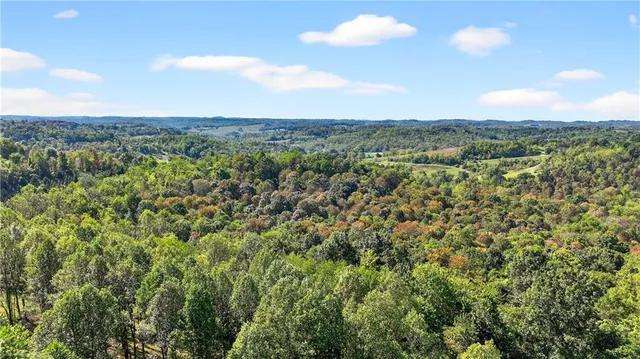 a view of a city with lush green forest