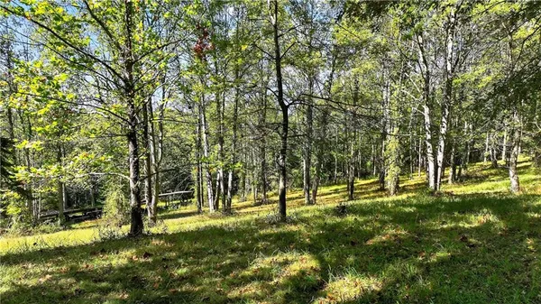 a view of yard with green space