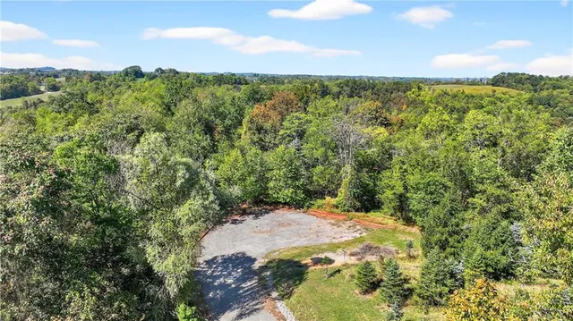 a view of a yard with a tree