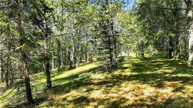 a view of yard with green space