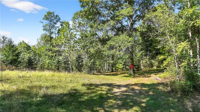 a view of swimming pool from a yard
