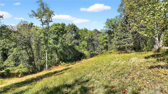 a view of a yard with large trees