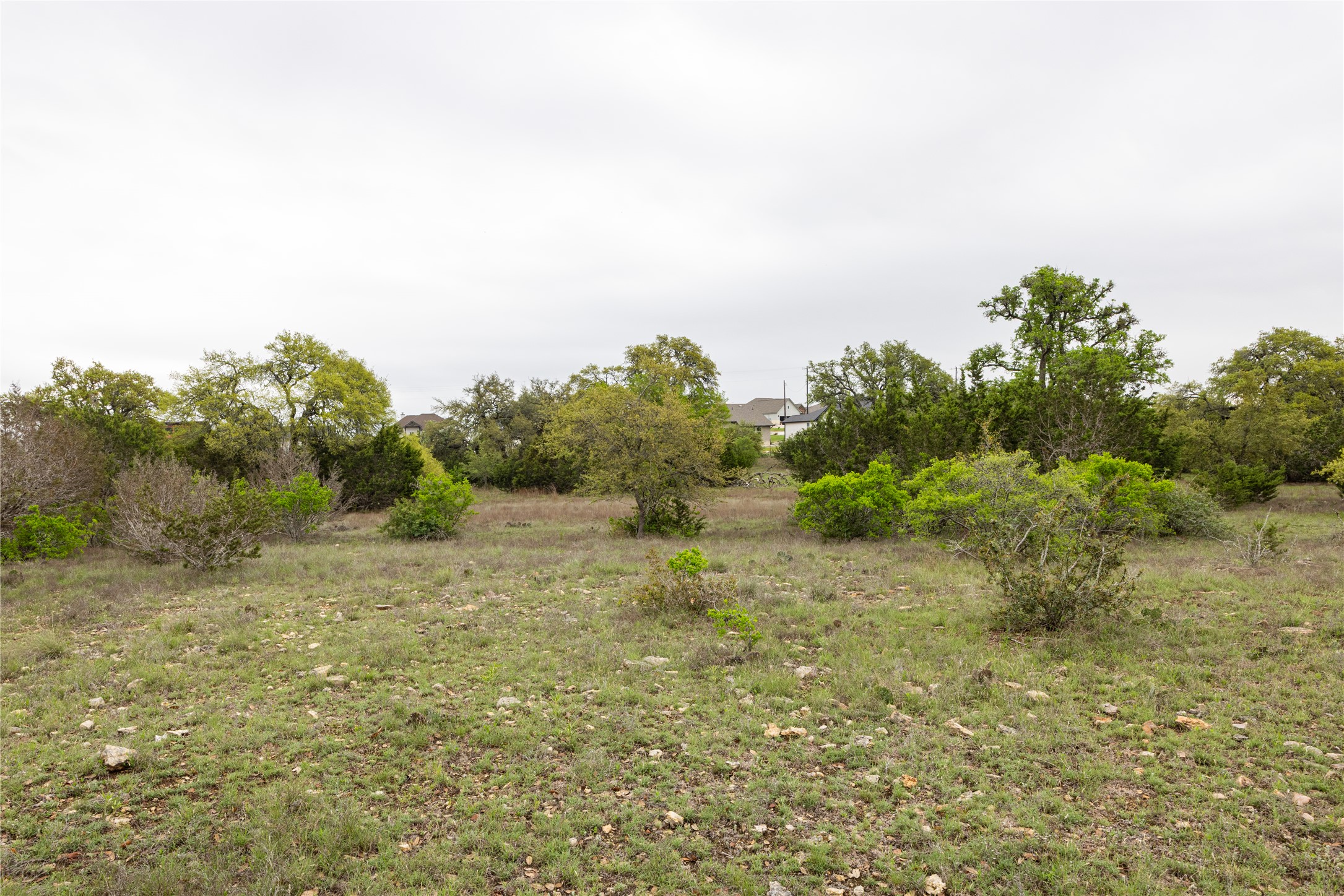Tbd Tbd Logan's Way Blanco, TX 78606 - Photo 2 of 25 View of landscape