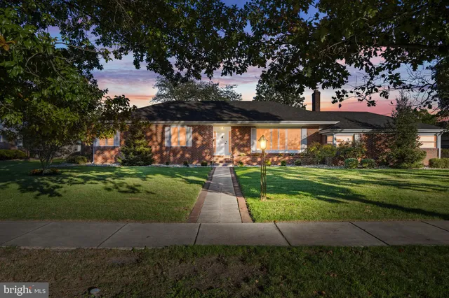 a view of a park with large trees