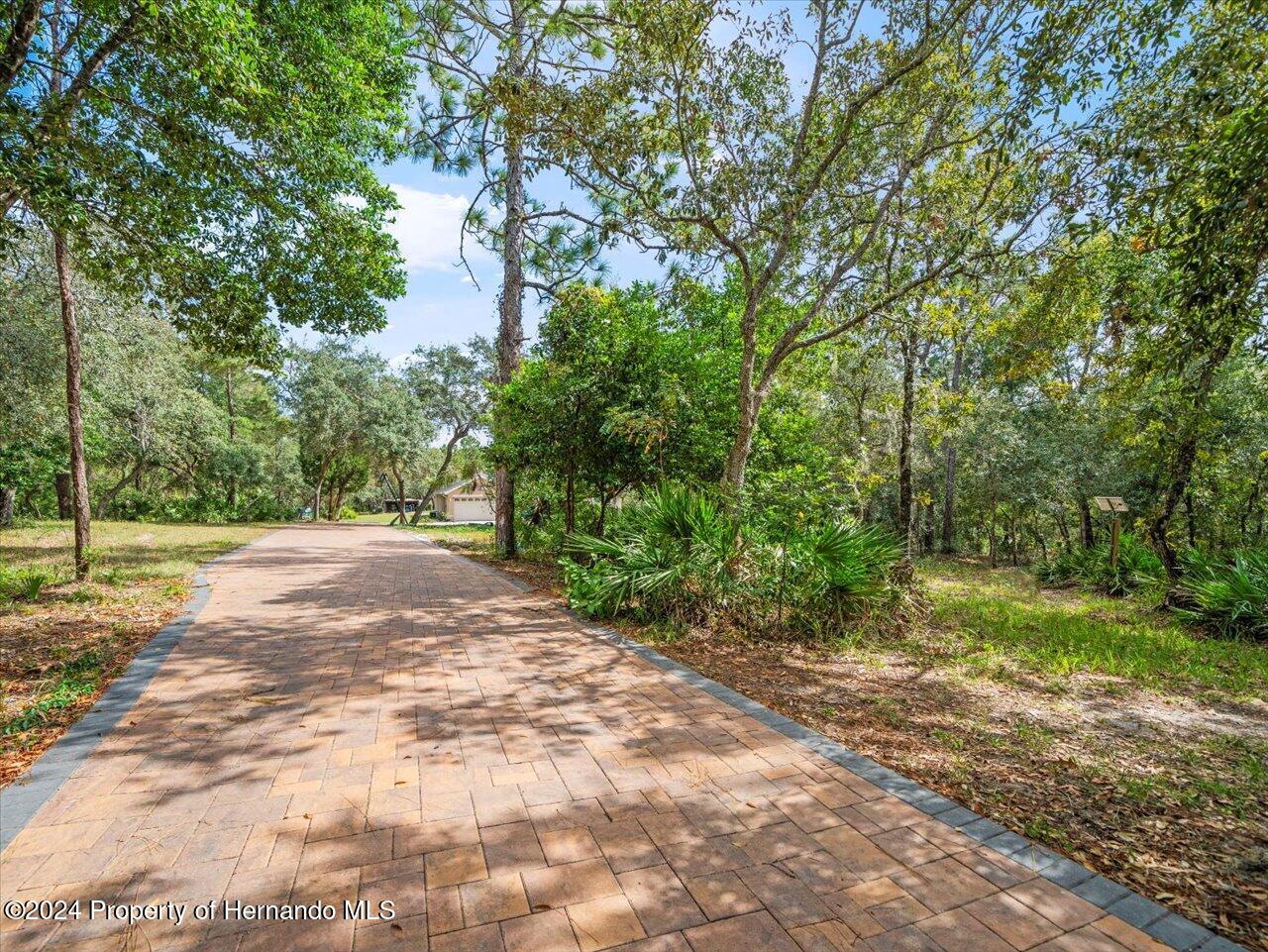 8108 Indian Trail Road Weeki Wachee, FL 34613 - Photo 5 of 59 a view of a yard with plants and large trees