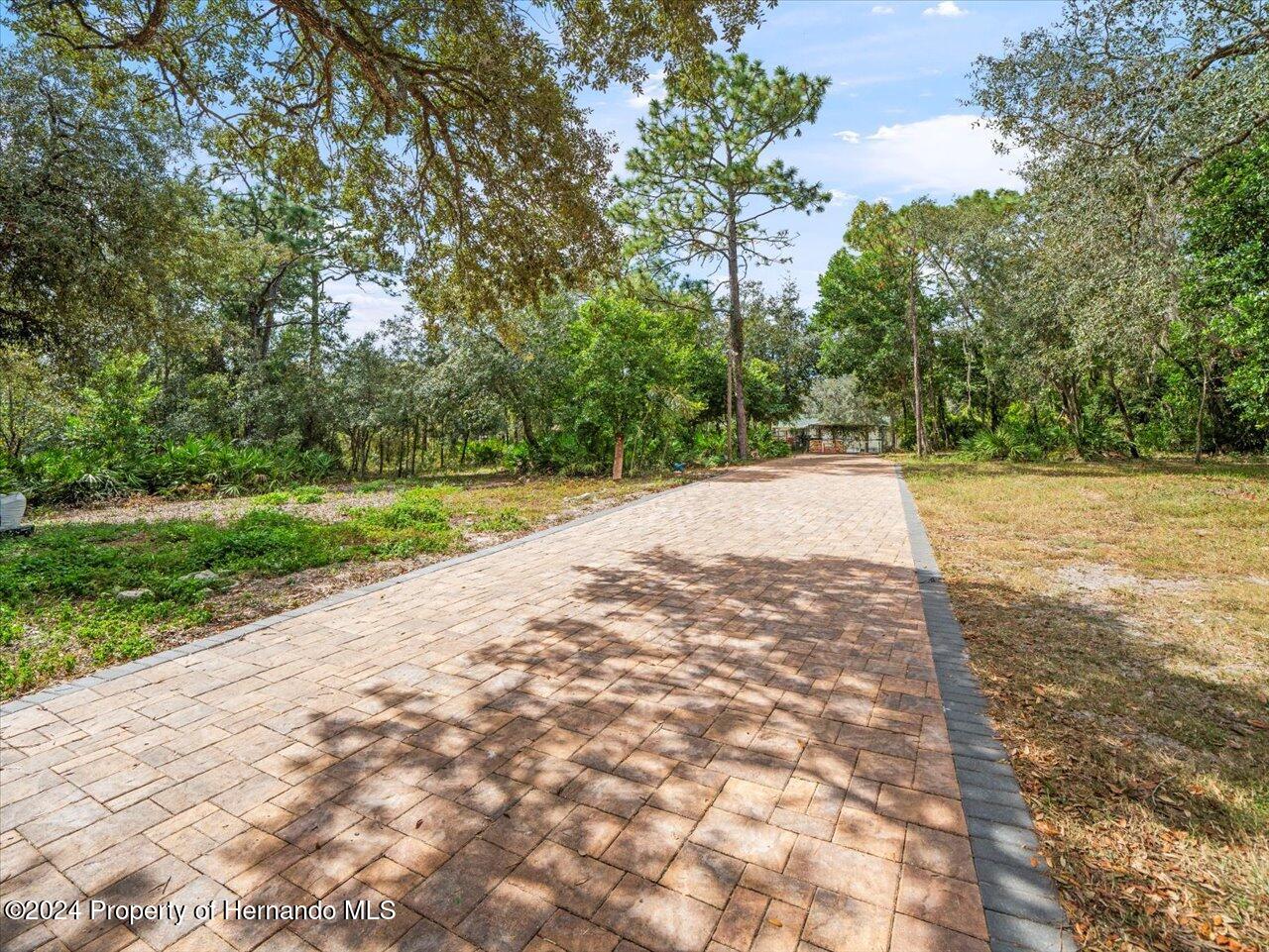 8108 Indian Trail Road Weeki Wachee, FL 34613 - Photo 7 of 59 a view of a yard with plants and trees
