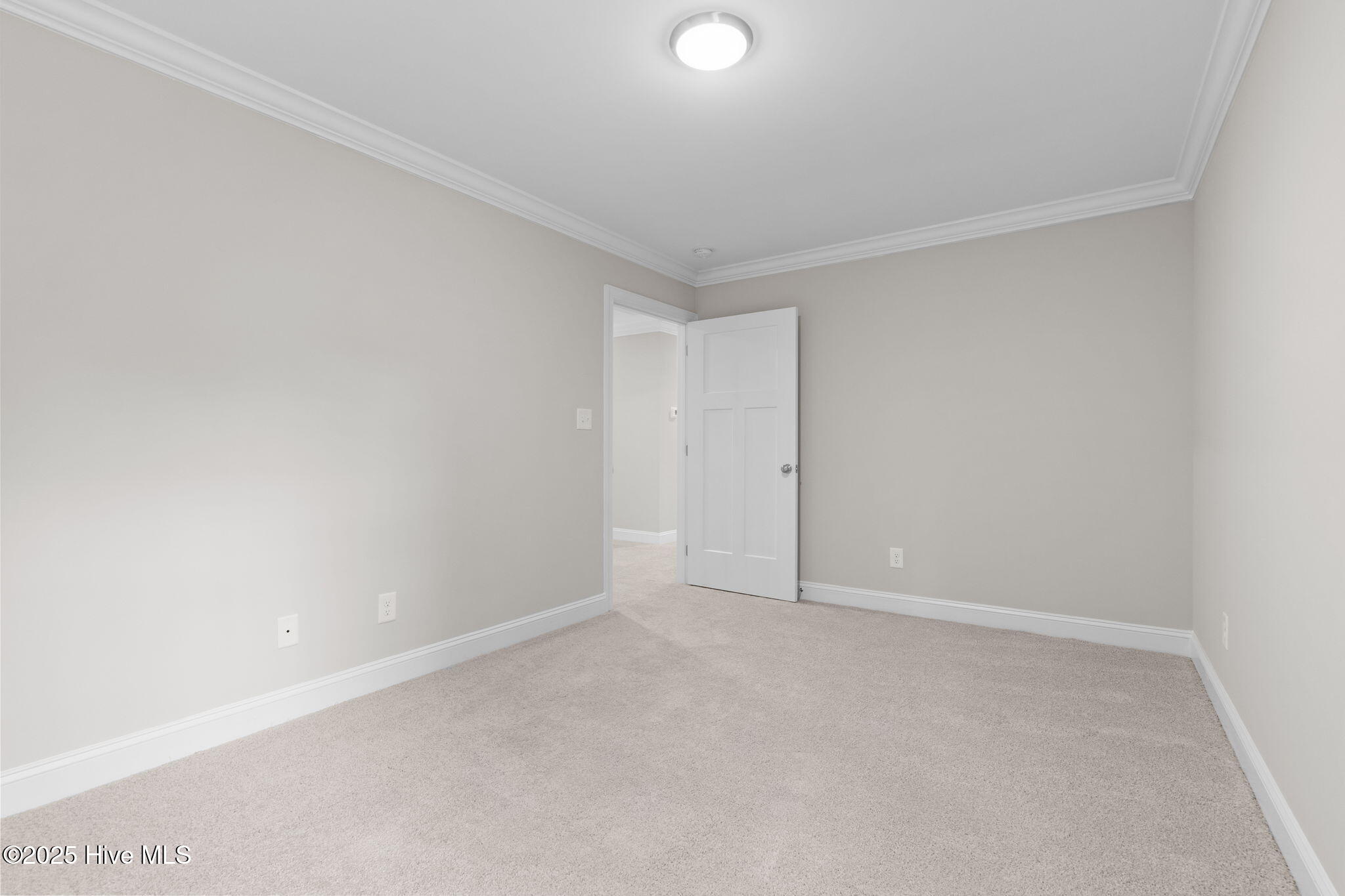 790 Burning Tree Road Pinehurst, NC 28374 - Photo 29 of 53 36-web-or-mls-DSC06480