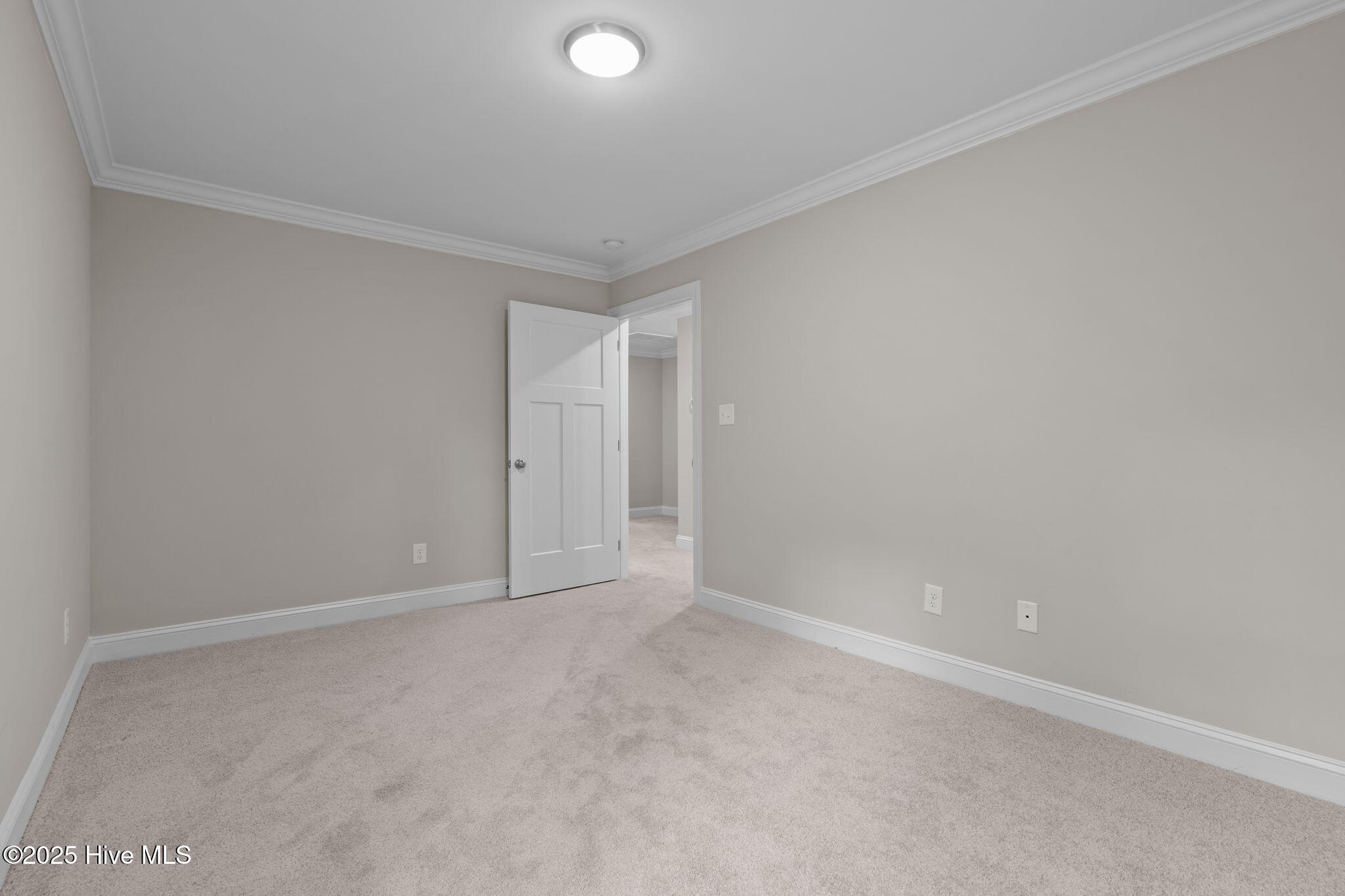 790 Burning Tree Road Pinehurst, NC 28374 - Photo 31 of 53 39-web-or-mls-DSC06489