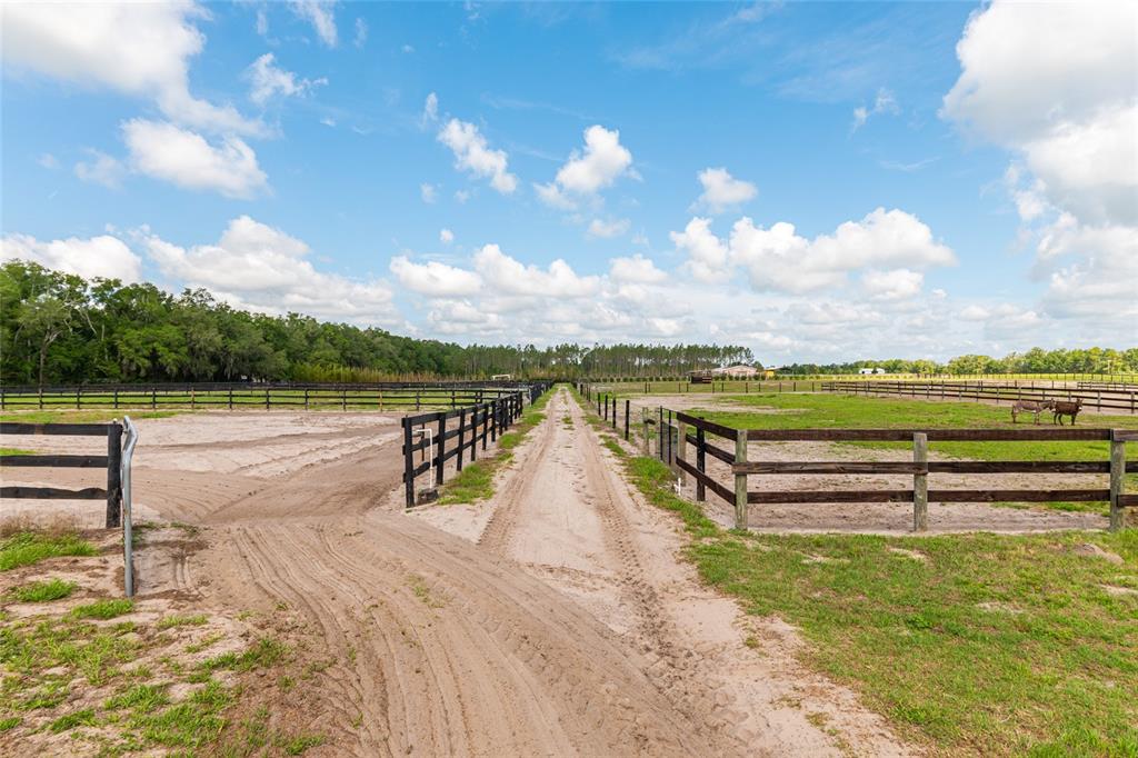 2009 Southwest 20th Street Bell, FL 32619 - Photo 53 of 75