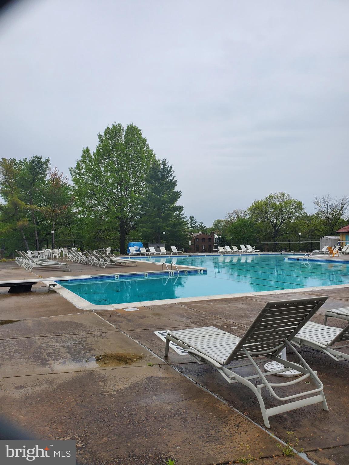 8092 Edinburgh Drive Springfield, VA 22153 - Photo 49 of 50 Community Pool In Walking Distance