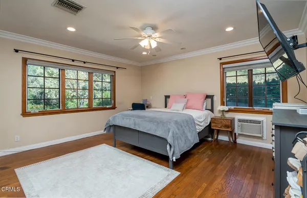 a view of a garden with plants and large trees