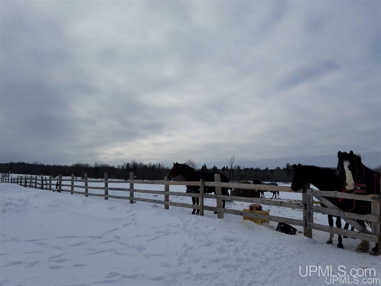 14211 North Stateline Road Hurley, WI 54534 - Photo 47 of 50