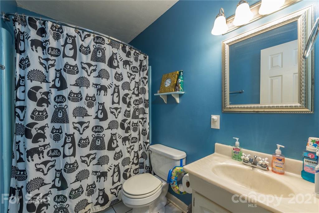356 Buckner Branch Road Mars Hill, NC 28754 - Photo 23 of 45 Gallery Image 23