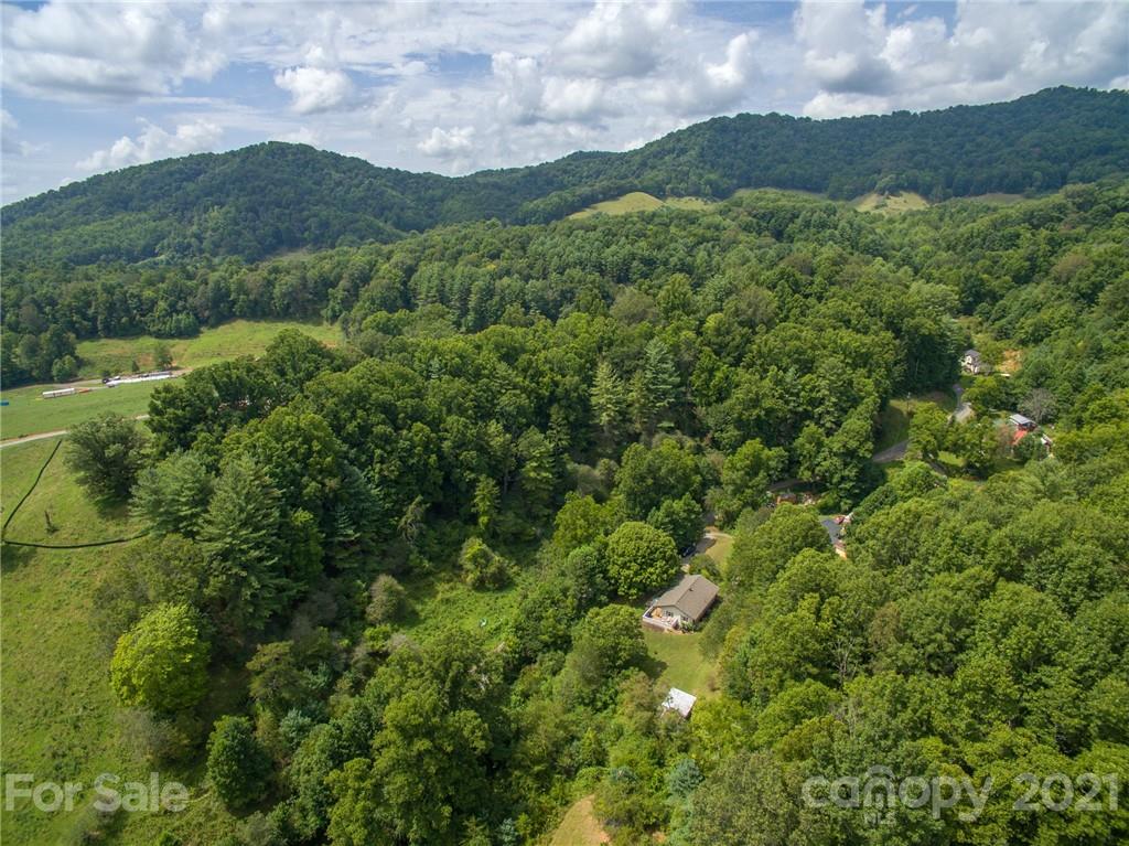 356 Buckner Branch Road Mars Hill, NC 28754 - Photo 43 of 45 Gallery Image 43