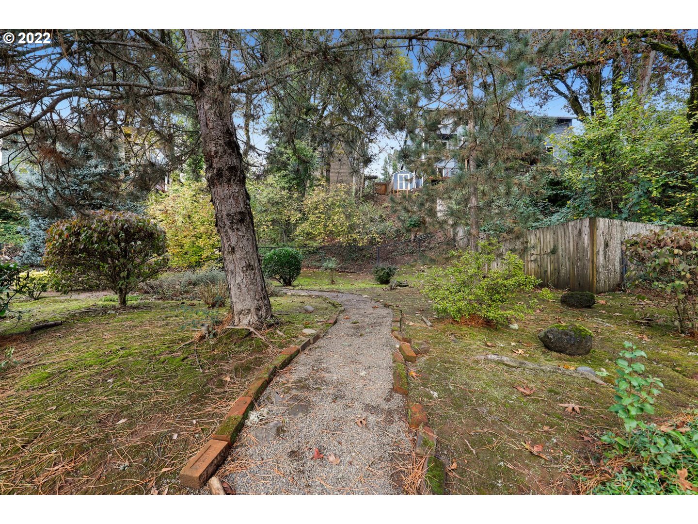 3237 Ridge Pointe Drive Forest Grove, OR 97116 - Photo 31 of 32 a backyard of a house with a yard and large tree