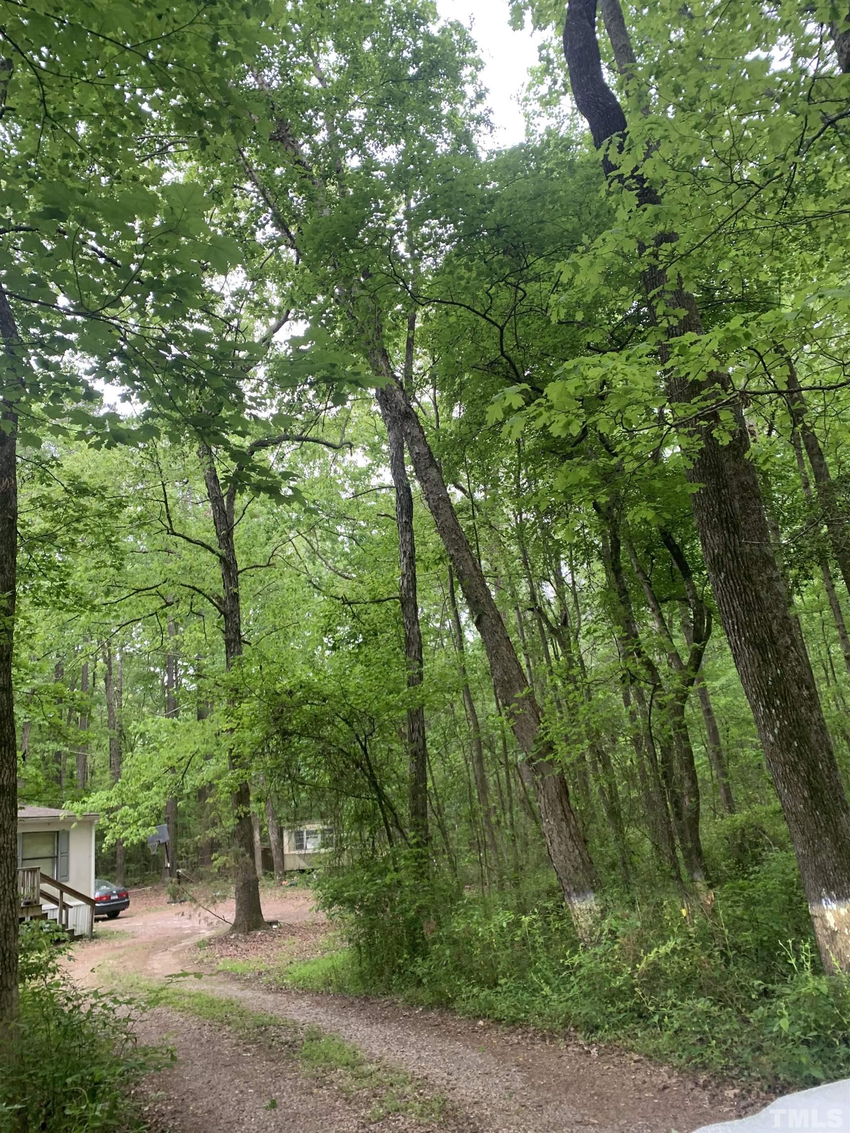 7428 Riley Hill Road Zebulon, NC 27597 - Photo 1 of 1 a view of outdoor space and yard
