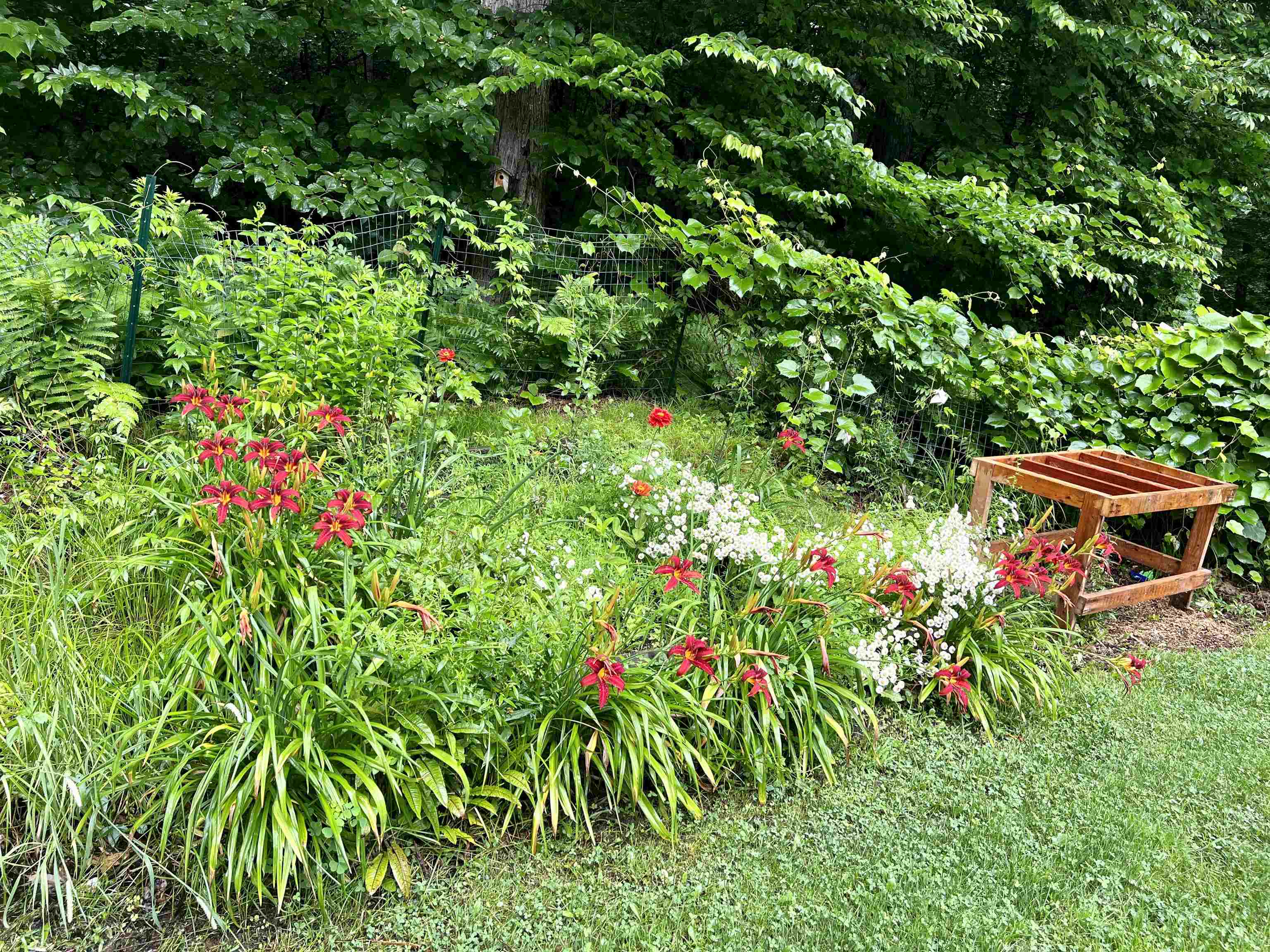 898 Province Road Strafford, NH 03884 - Photo 38 of 39 Gallery Image 38