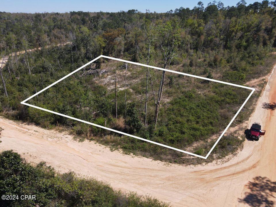 0 Powder Circle Alford, FL 32420 - Photo 3 of 9