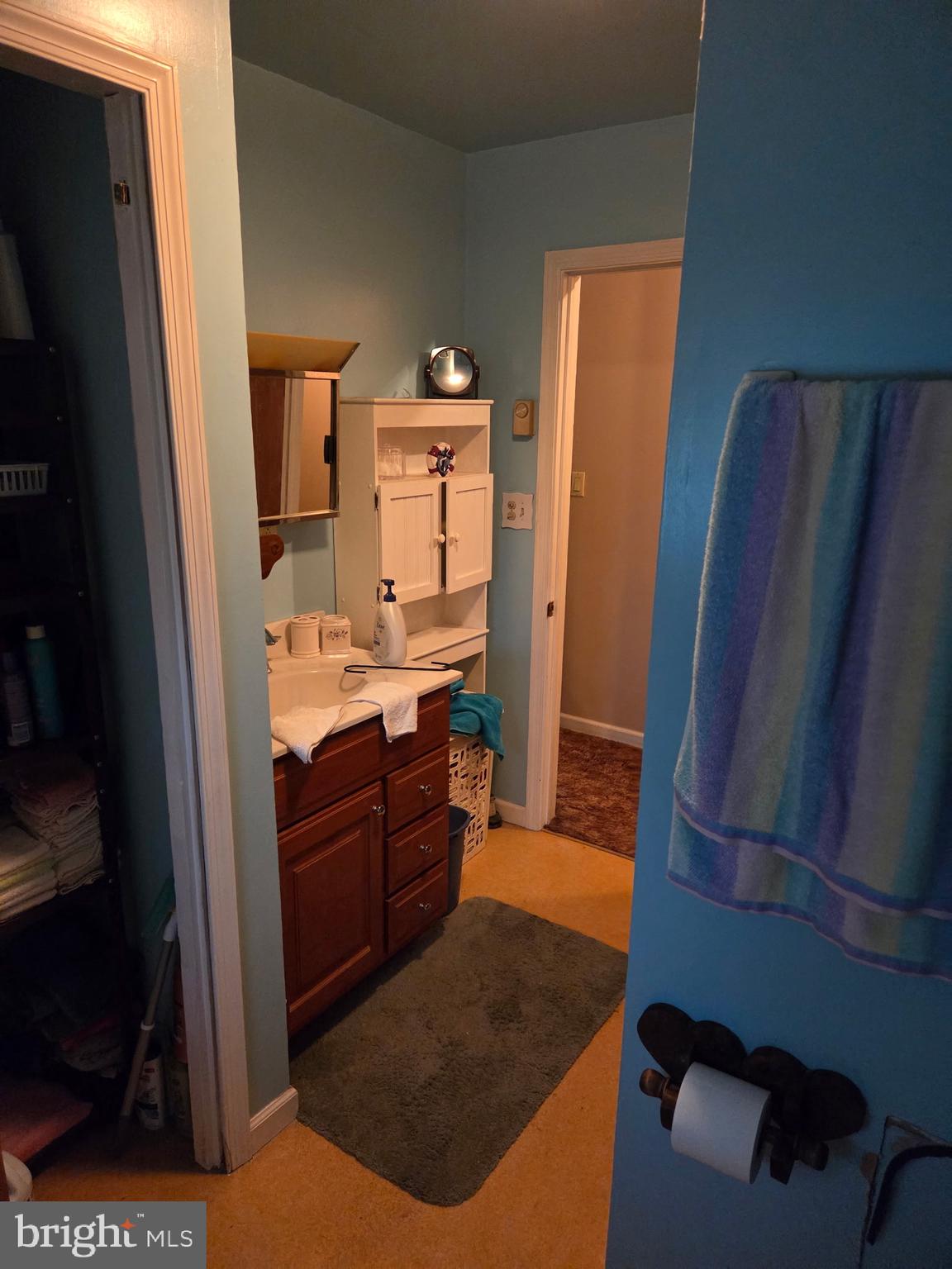 4942 Elizabethtown Road Manheim, PA 17545 - Photo 18 of 23 a bathroom with a sink a mirror and a shower