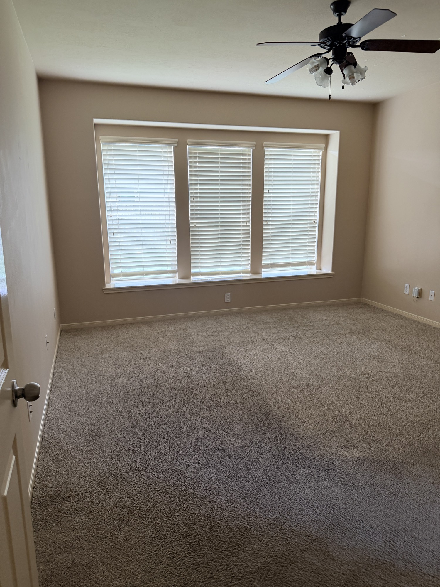 4 Palmdale Lane Manvel, TX 77578 - Photo 6 of 7