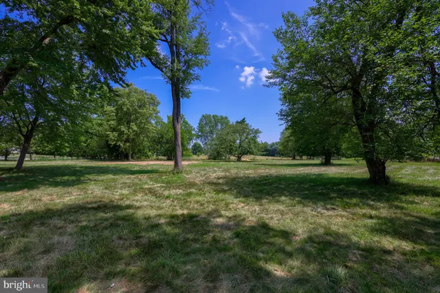 a view of outdoor space with trees all around