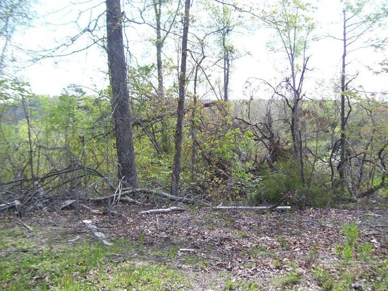 1000 Fount Hubbard Road London, KY 40741 - Photo 7 of 8 Photo 7