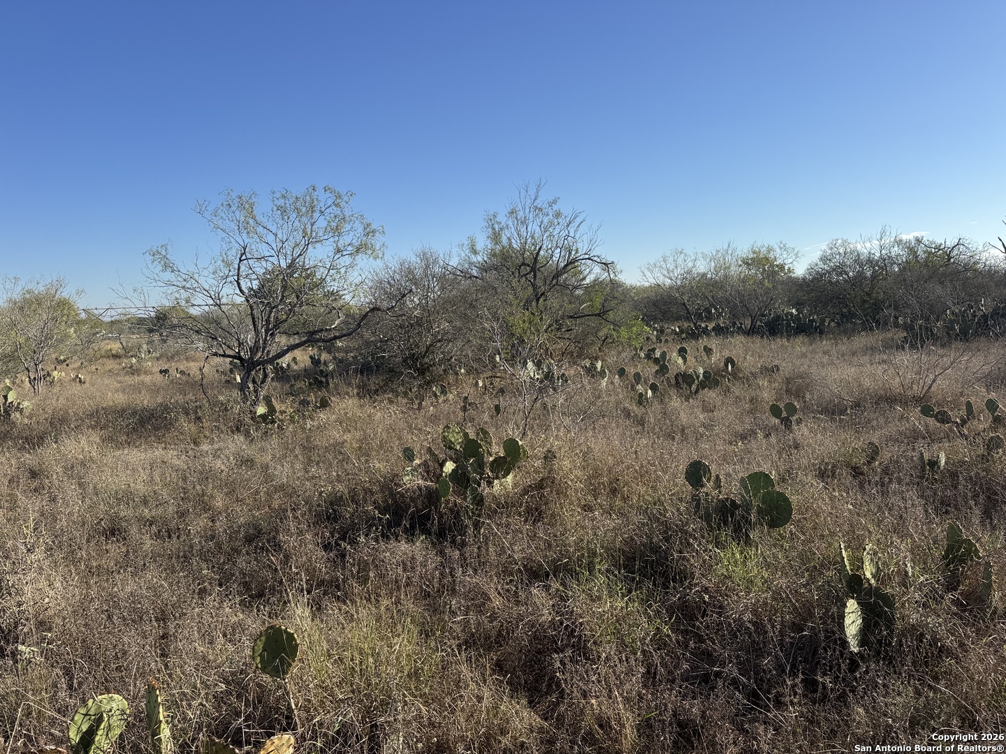 449 Rodriguez Acres Jourdanton, TX 78026 - Photo 11 of 14 a view of a field