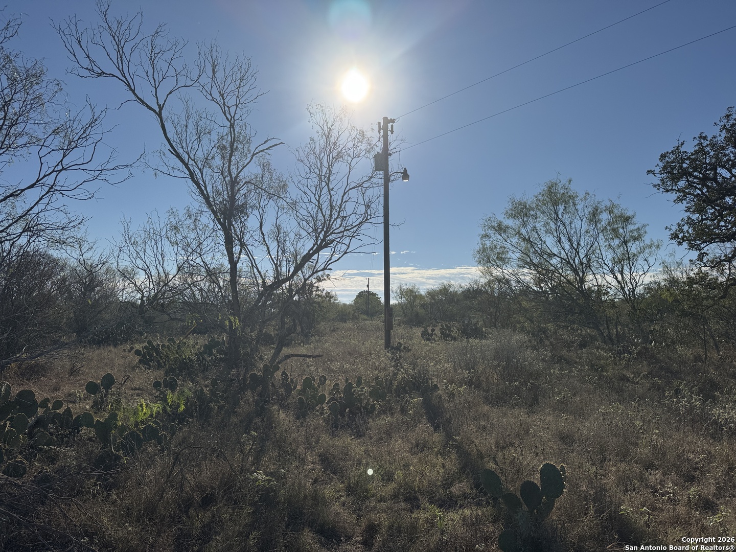 449 Rodriguez Acres Jourdanton, TX 78026 - Photo 14 of 14 a view of a dry yard