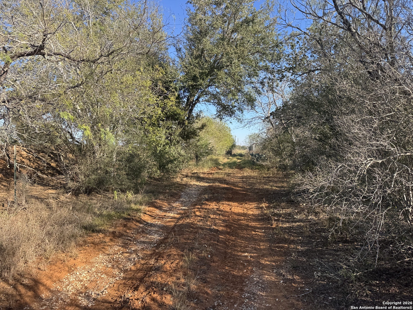 449 Rodriguez Acres Jourdanton, TX 78026 - Photo 3 of 14 a view of a yard with a tree