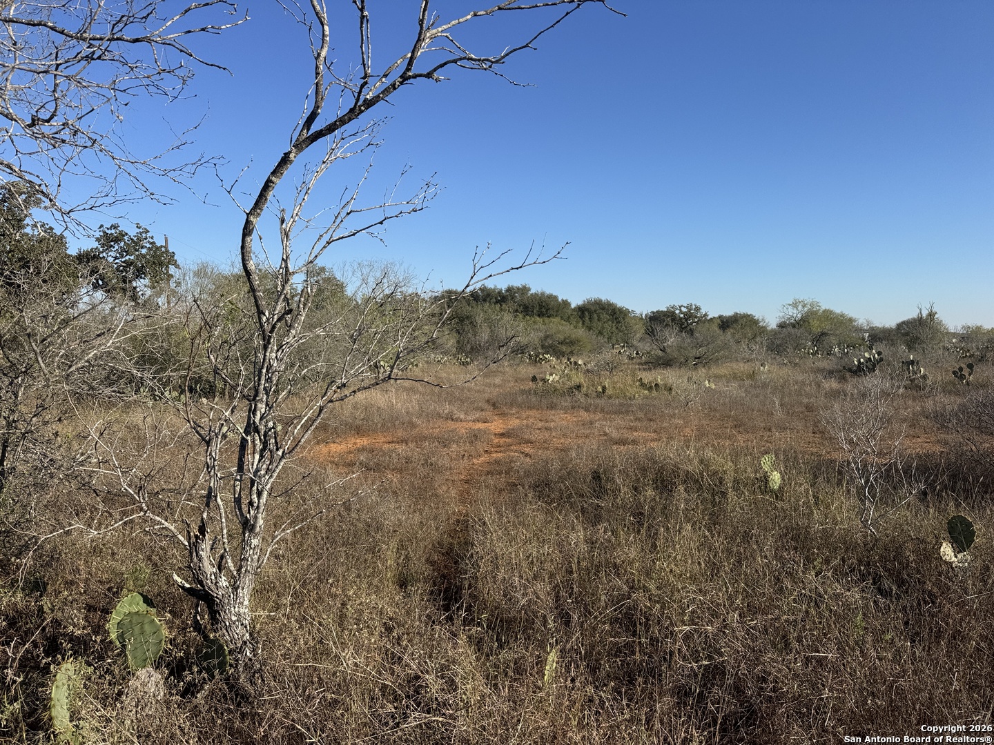 449 Rodriguez Acres Jourdanton, TX 78026 - Photo 4 of 14 a view of a dry yard with green space