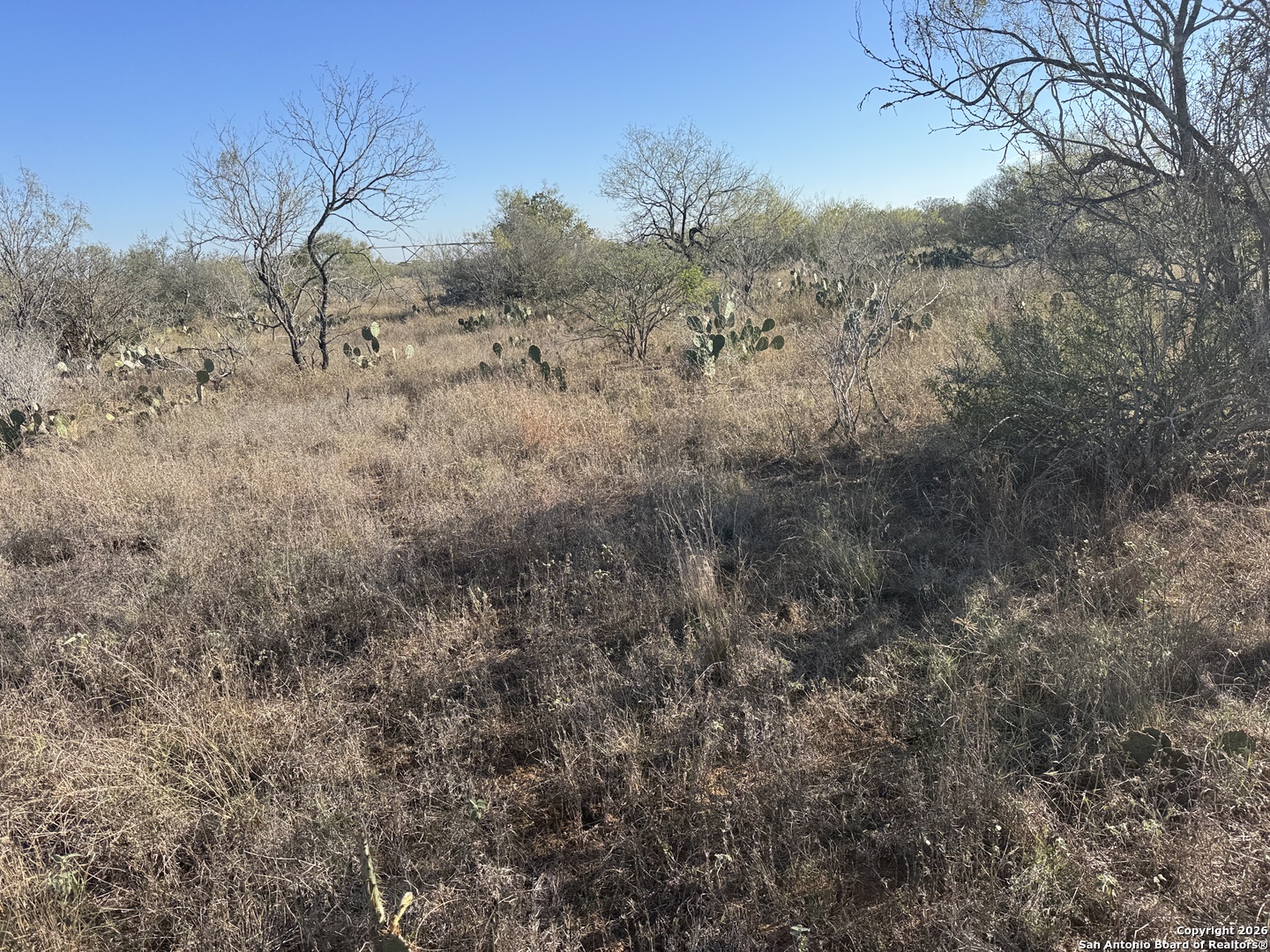 449 Rodriguez Acres Jourdanton, TX 78026 - Photo 10 of 14 a view of a dry yard with trees in the background