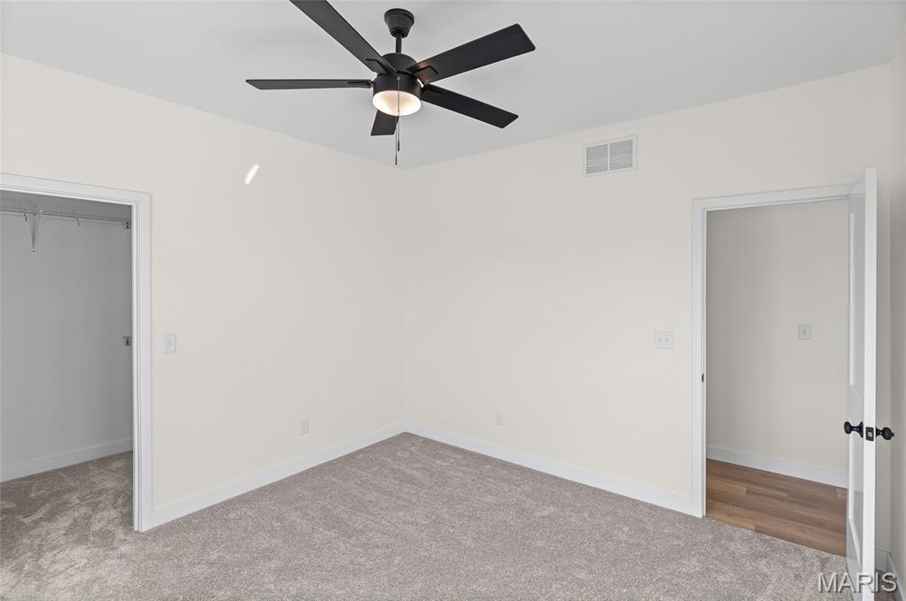 110 Black Wolf Run Highland, IL 62249 - Photo 18 of 21