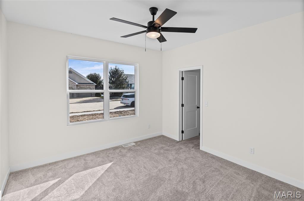110 Black Wolf Run Highland, IL 62249 - Photo 9 of 21