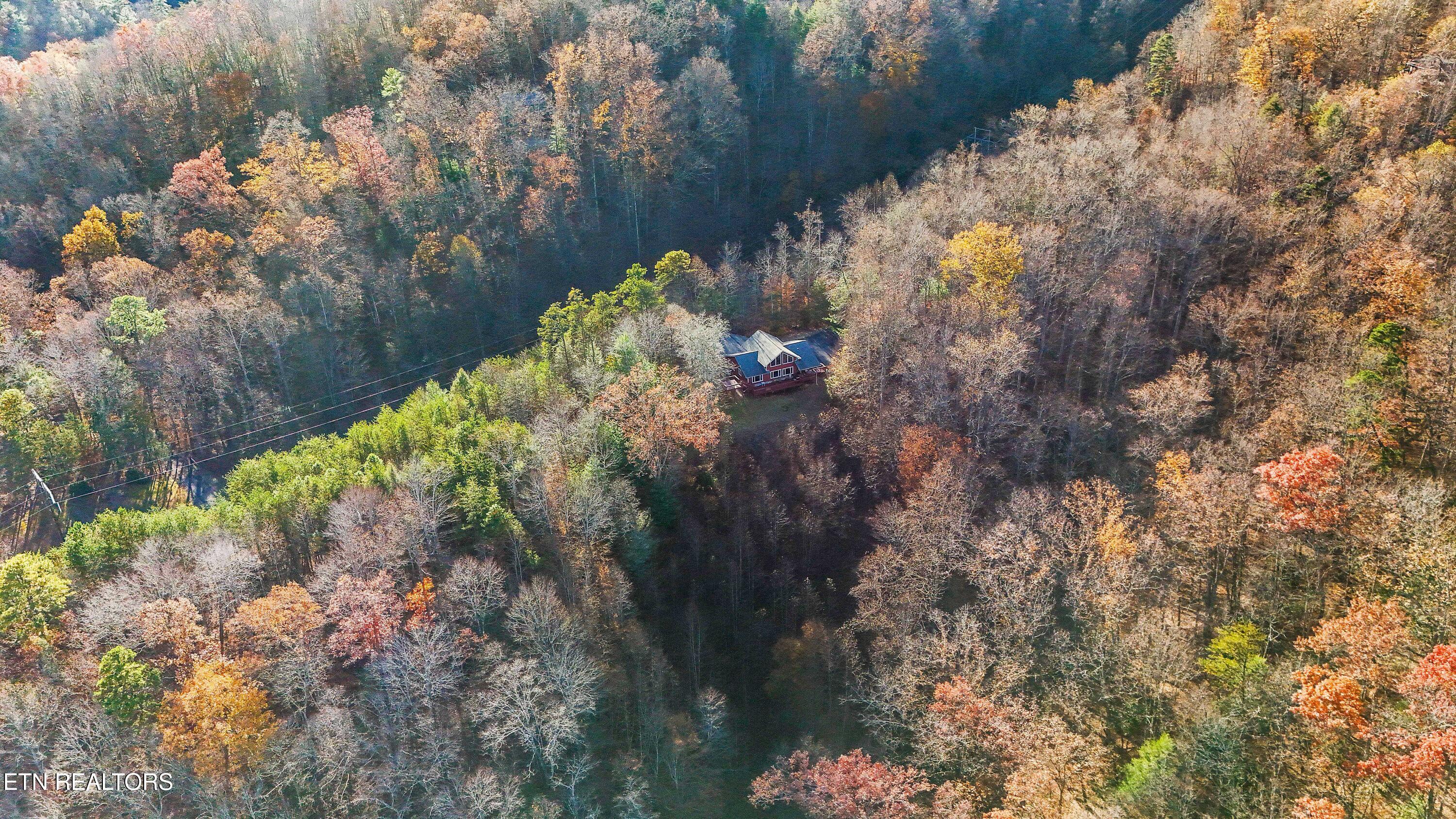 414 Gold Road Cosby, TN 37722 - Photo 55 of 58 DJI_20251117154006_0037_D