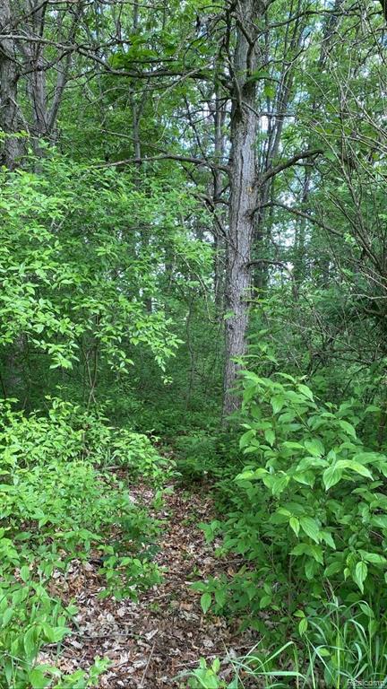 0 Kaiser Road Gregory, MI 48137 - Photo 14 of 29