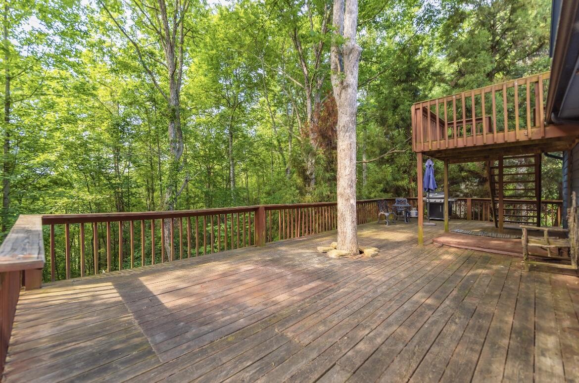 720 Murphy Ridge Road Stearns, KY 42647 - Photo 14 of 61 64FEBD96-4855-4031-AE3F-F6E9A184C1E2