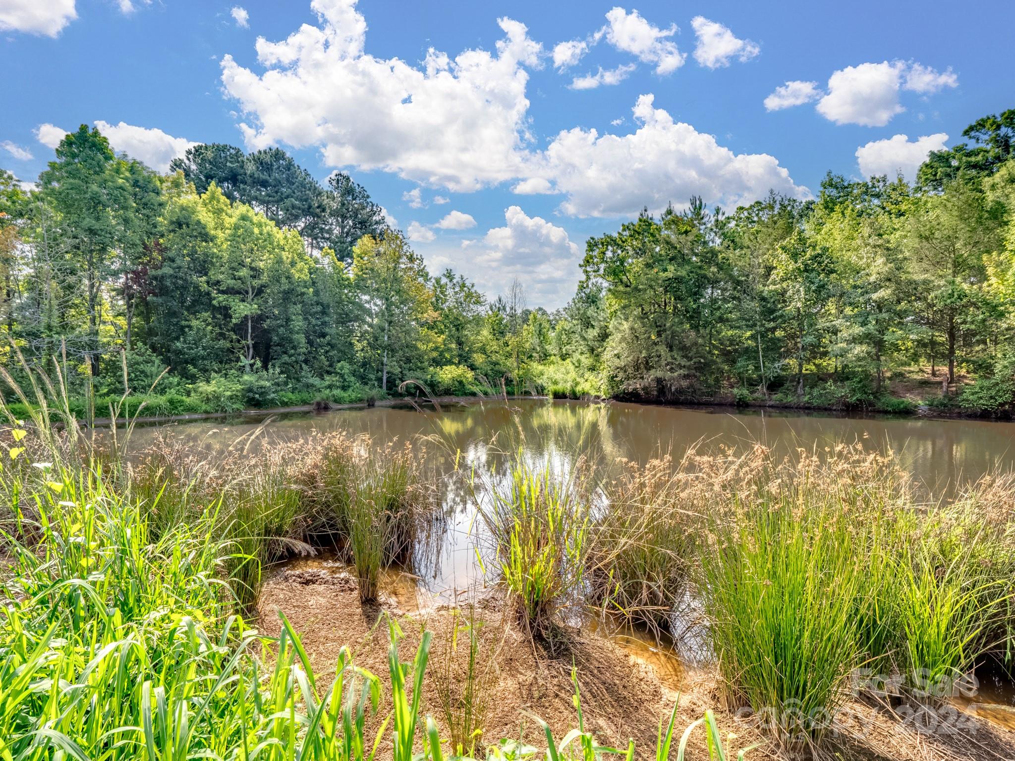6220 Riggins Road Marshville, NC 28103 - Photo 6 of 23