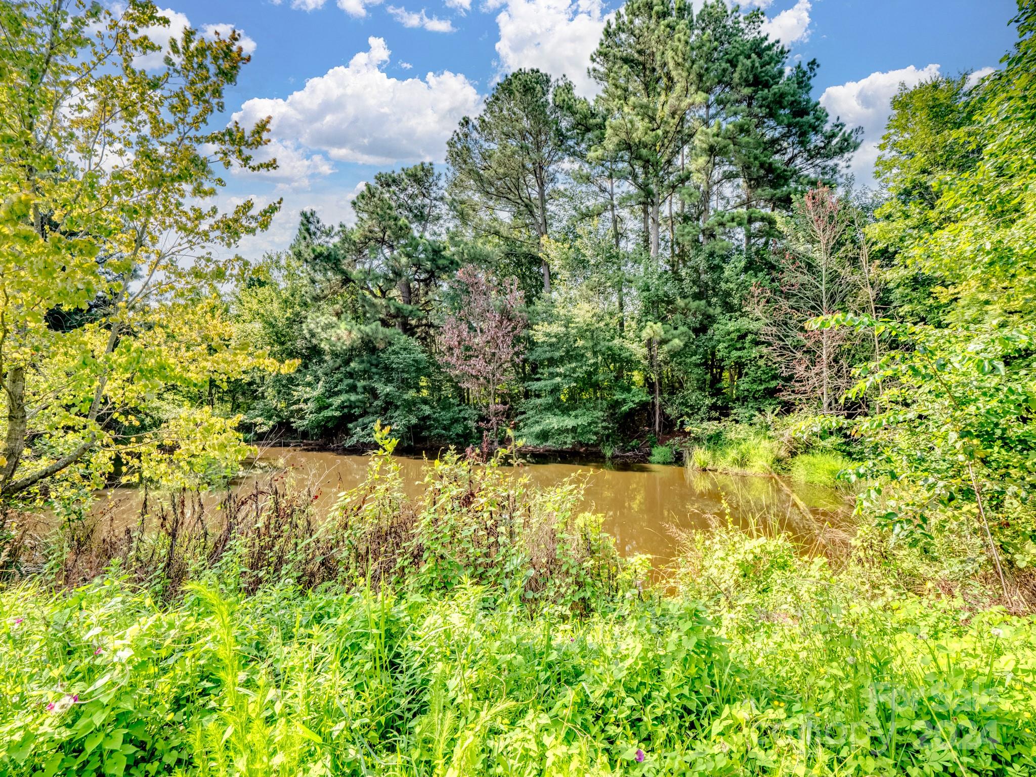 6220 Riggins Road Marshville, NC 28103 - Photo 7 of 23