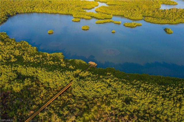a view of a bunch of plants and flowers