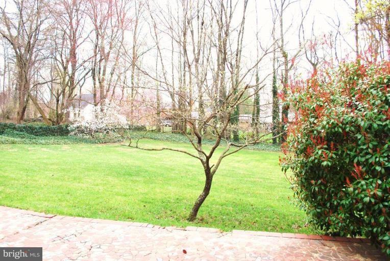 6721 Bulkley Road Lorton, VA 22079 - Photo 13 of 14 Huge gorgious back yard