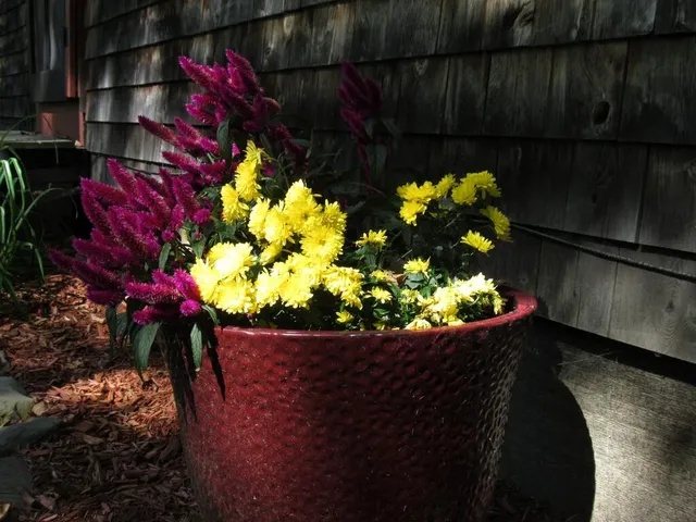 $260,000 | 38 Drury Road, Solon, ME 04979