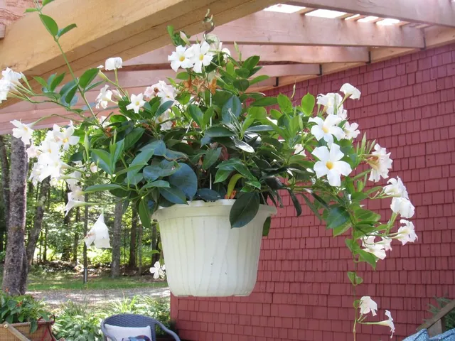 $260,000 | 38 Drury Road, Solon, ME 04979